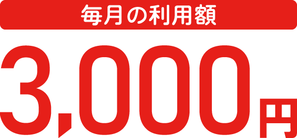 毎月の利用額3000円